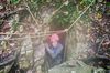 2013__10_frz_Jura_062.jpg im Album frz Jura, Herbst 2013